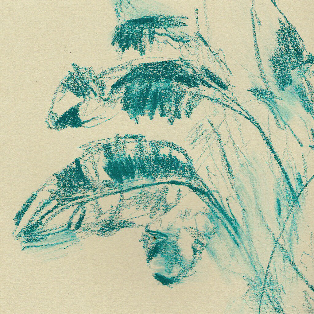 Expressive sketch of palm leaves in Jardim da Alameda, Faro, showcasing bold lines and dynamic textures of the foliage.